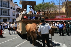 Romería San Marcos 2014 - Romería - Carretas