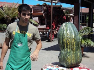 Calabaza ganadora