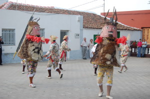 libreapalmar1