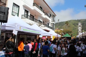 feriaeducacion6