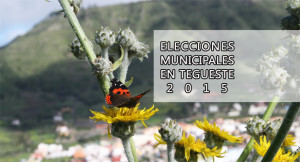 Elecciones municipales