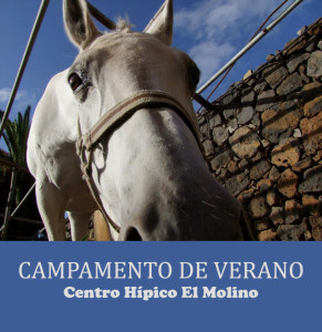 CampamentoE Molino