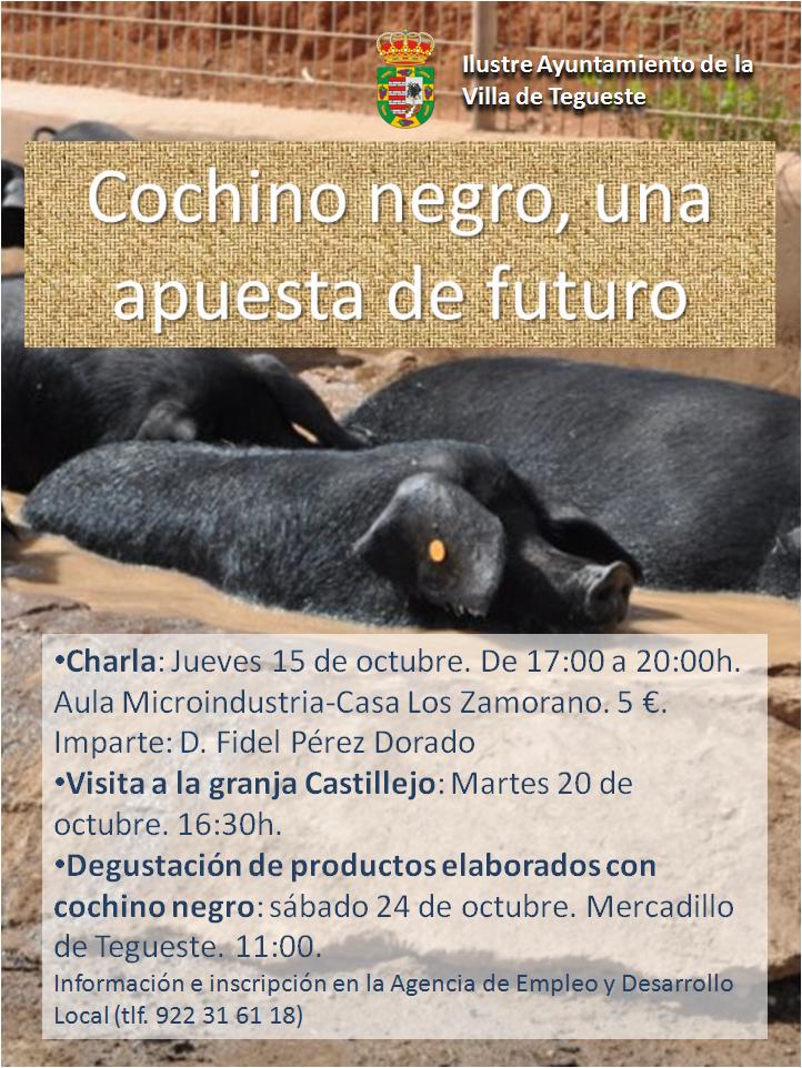 Cochino-negro