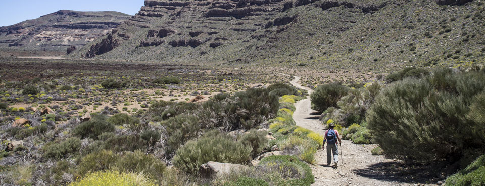 4-siete-canadas-parque-nacional-teide-fc