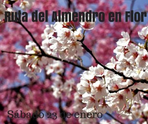 Ruta almendros en flor